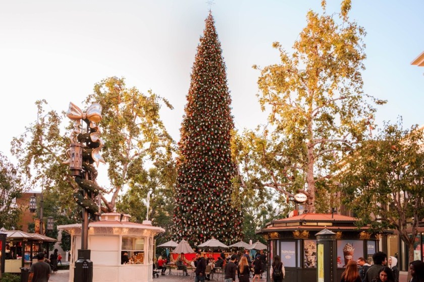 THEGROVE
